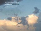The Tallest Man On Earth-Shallow Grave VINYL NEU