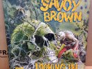 SAVOY BROWN LOOKING IN OG UK STEREO DECCA RECORDS LP SKL5066 P1W/P1W GATEFOLD