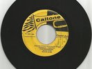 PIONEERS WITH RAMBLERS / NEVER COME RUNNING BACK / GIVE UP / 7''/ VG / VG-
