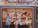 The Beatles ?– Strawberry Fields Forever 1982 12