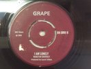 Winston Groovey / Merry Xmas / Skinhead Reggae / 1970 / Boss Sound / Grape