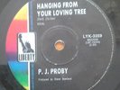 (PJ PROBY-Hanging From Your Loving Tree)-New Yardbirds/LED ZEPPELIN- I8-7