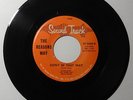 THE REASONS WHY Don't Be That Way /Melinda 45 Sound Track RARE TEXAS GARAGE 1966