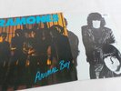 The Ramones - Animal Boy 12