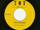 LIGHTNIN' HOPKINS - ORIGINAL RARE BLUES 45 - LATE IN THE EVENING [TNT RECORDS]