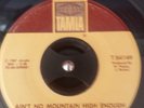 NORTHERN SOUL MARVIN GAYE & TAMMI TERRELL - AINT NO MOUNTAIN HIGH ENOUGH TAMLA 7
