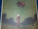 HIDDEN IN PLAIN VIEW LIFE IN DREAMING RARE VINYL LP 12