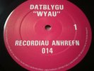 Datblygu  WELSH Indie Post-Punk - DJ John Peel 5 Sessions NM+ vinyl