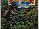 Savoy Brown 