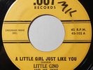 LITTLE GINO & HIS JINKS A Little Girl/ She Don't 45 .007 102 RARE DOO WOP MOD ?