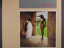 PENGUIN CAFE ORCHESTRA: Penguin Cafe Orchestra LP (saw mark, corner ding, sm fa