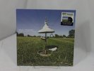 Real Friends More Acoustic Songs 33 rpm Vinyl Record SEALED RSD 2015
