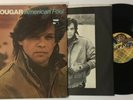 JOHN COUGAR MELLENCAMP: American Fool USA RIVA Classic Rock VINYL LP VG++