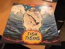 STEVE HILLAGE - FISH RISING LP V2031