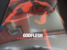 Godflesh 
