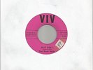 Arizona Wild Garage Rockabilly by THE DOOR NOBS 