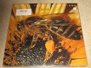 LE ORME - PICCOLA RAPSODIA DELL' APE - PROG ROCK - NEW - LP RECORD