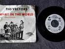 THE VECTORS WHAT IN THE WORLD 45RPM GARAGE PSYCH ST. LAWRENCE