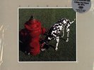 Rush - Signals LP 200g Vinyl RI NEW