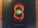 Pearl Jam Binaural - Original Vinyl Double LP (2000, Not the Reissue)