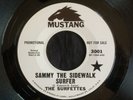 Surfettes, Mustang 3001, Sammy The Sidewalk Surfer & Blue Surf, Carol Connors