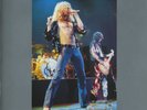 LED ZEPPELIN TRAMPLED UNDERFOOT   LIVE 1990 EUROPEAN  DOUBLE WHITE VINYL LP