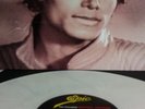 The Essential Michael Jackson on double white 12