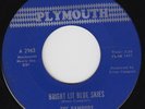 ROCKIN' RAMRODS Bright Lit Blue Skies RARE M- US garage 45 *first issue* HEAR