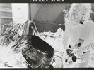 NIRVANA - BLEACH NEW VINYL