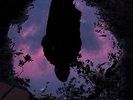 Slow Crush-Aurora (UK IMPORT) VINYL NEW