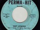 northern soul 45 THE SHARP-ETTS Keep Looking PERMA-HIT mp3 rare detroit