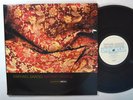 NEO SOUL LP - RAPHAEL SAADIQ - INSTANT VINTAGE Gatefold 2xLP PROMO 2002 VG++