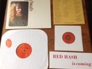 Gary Higgins - Red Hash - LP + 7 in - Pre-owned