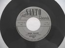 THE HOLIDAYS - KILLER 2 SIDED MEMPHIS GARAGE INSTRO 45 - DARK VALLEY / DESPERATE