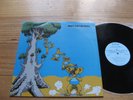 MATT TAYLOR - Always Land On Your Feet LP - Orig Aussie ROCK PROG BLUES - Chain
