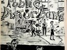PUBLIC DISTURBANCE LP - ONLY 300 MADE  MUTHA 003 MINT NEVER PLAYED  PUNK RARE NR