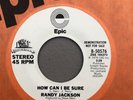 70s SOUL 45 RANDY JACKSON How Can I Be Sure EPIC WLPROMO NM