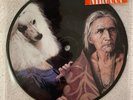 NIRVANA Picture Disc VINYL RECORD 7