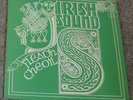 Fleaon Cheoil - Irish Sound LP privat