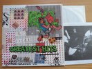 Rich Kids on LSD-R.K.L.- Greatest Hits Double Live In Berlin-Mit Booklett-2er Lp