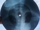 BOB DYLAN - WITH GOD ON OUR SIDE GEORGIAN (EX-USSR) X-RAY ROENTGEN BONES RECORD