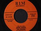 ADELPHIS: Shine Again / Kiss-a-kiss 45 Vocal Groups