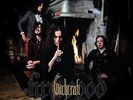 Witchcraft - Firewood Vinyl LP RISE ABOVE NEW