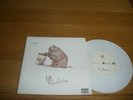 Korn-Evolution.7