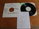 Died Pretty  - UK LP Test Pressing / Every Brilliant Eye - BEGA 108