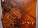 Tiamat - Wildhoney on White vinyl. 2015 reissue. 200 pressed. US edition.