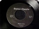 BUSTER CHERRIE RARE 1979 DETROIT PRIVATE PRESS HARD ROCK/HEAVY METAL 45 Hear