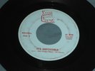 RARE  45 Record Ohio Garage King's English (You Couldn't See / It's Impossible)