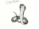 RUSH, Otis - The Cobra - Vinyl (LP)