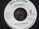 Susan Barrett What's It Gonna Be / It's no Secret